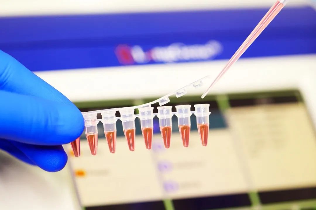 Hur väljer man PCR/qPCR-förbrukningsmaterial?