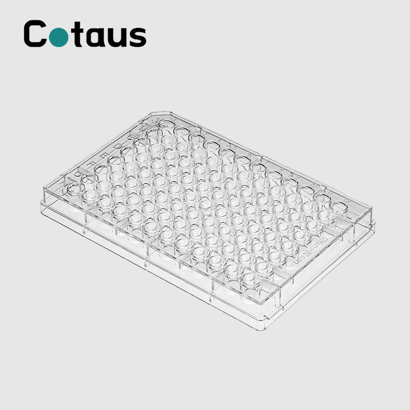 Introduktion av Elisa Plate