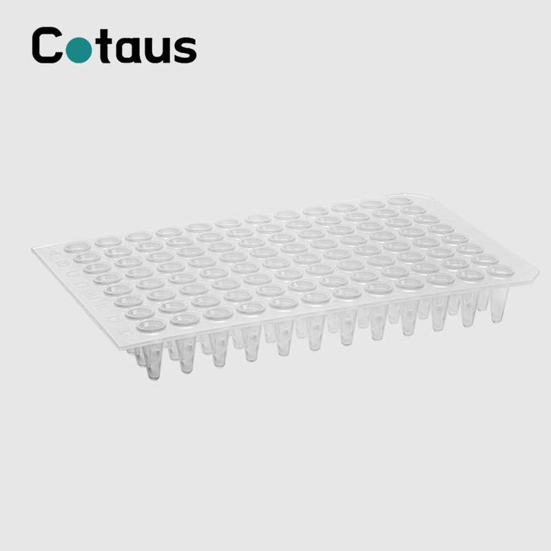 96 Well 0,2ml Transparent No Skirt PCR-platta